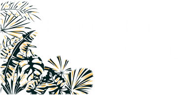 Fu Manchu Oriental